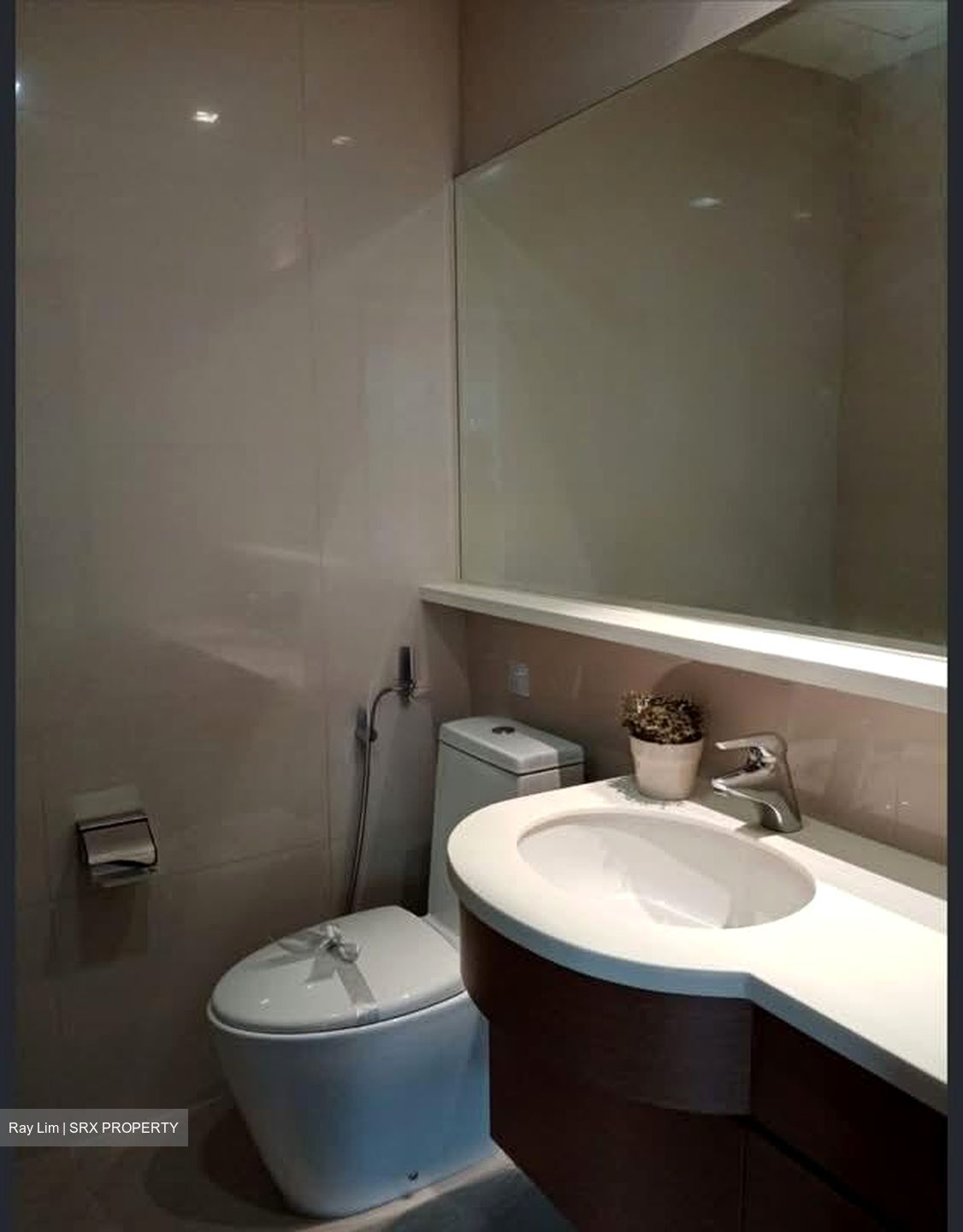 Nassim Regency (D10), Condominium #608925451